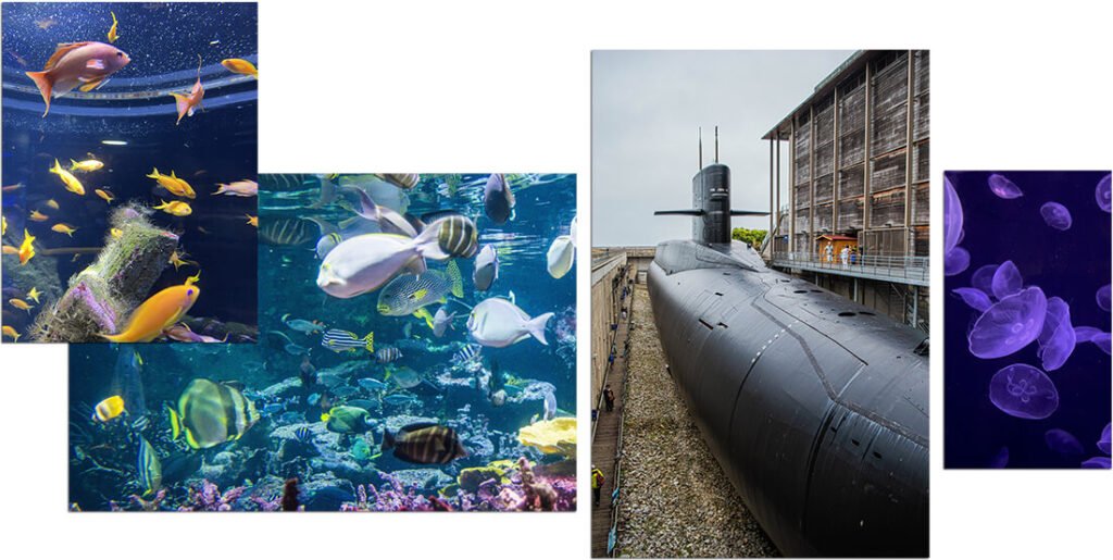 musée maritime de Cherbourg avec aquarium, expositions et sous-marin