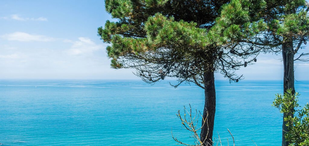 panorama sur la Manche